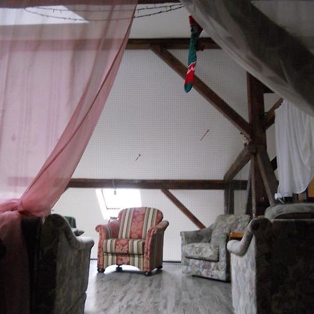 Hotel Cuibul Salamandrelor Sarmizegetusa Zewnętrze zdjęcie