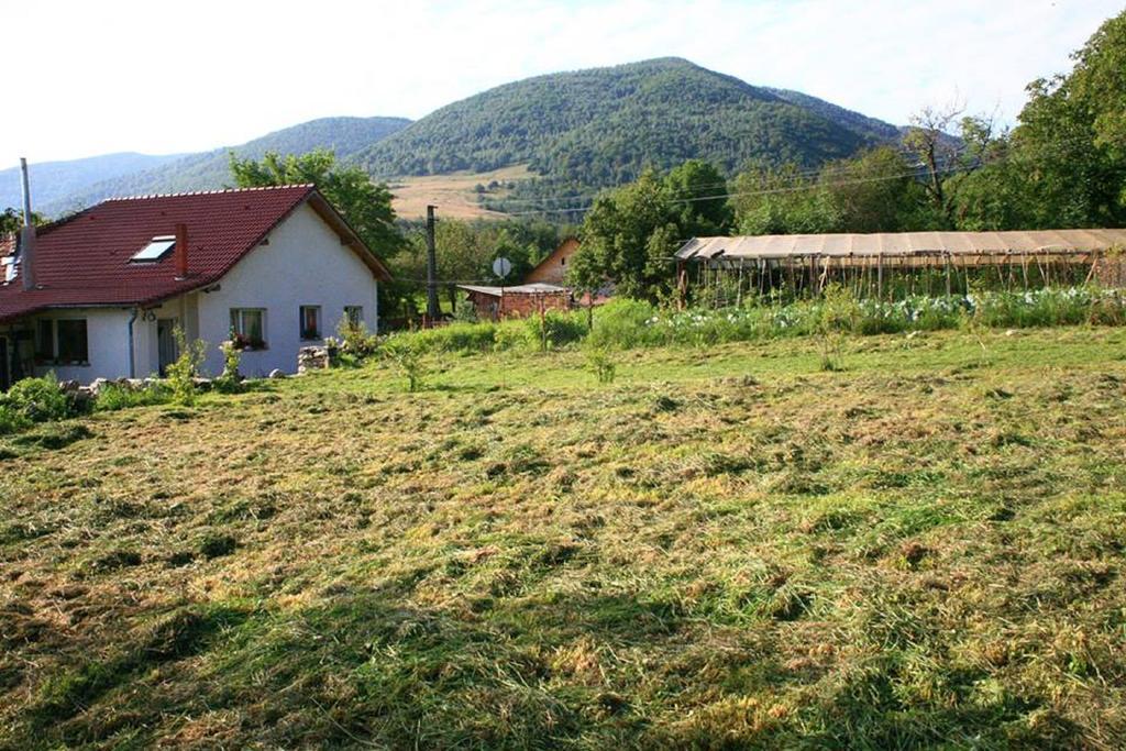 Hotel Cuibul Salamandrelor Sarmizegetusa Zewnętrze zdjęcie