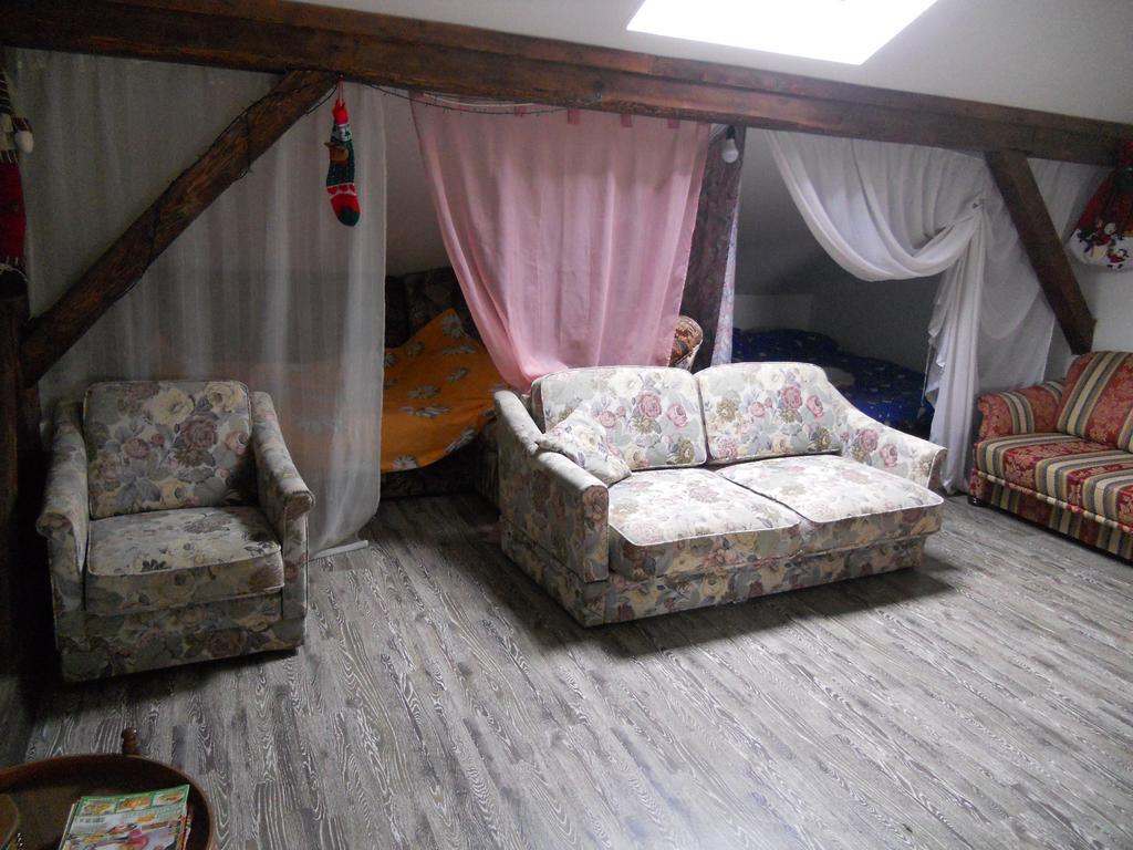 Hotel Cuibul Salamandrelor Sarmizegetusa Zewnętrze zdjęcie