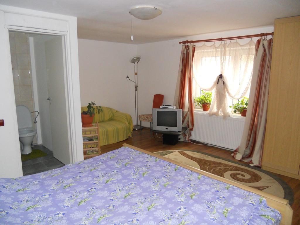 Hotel Cuibul Salamandrelor Sarmizegetusa Zewnętrze zdjęcie