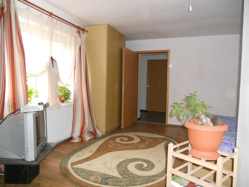 Hotel Cuibul Salamandrelor Sarmizegetusa Zewnętrze zdjęcie