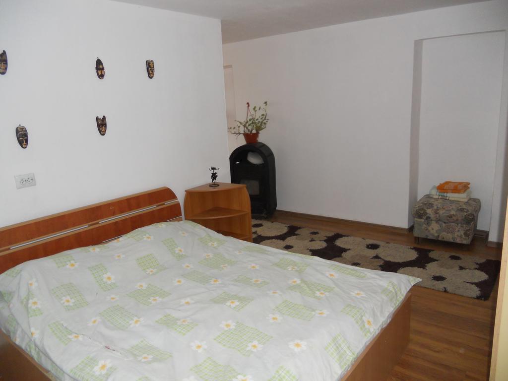 Hotel Cuibul Salamandrelor Sarmizegetusa Zewnętrze zdjęcie