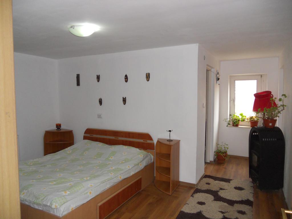 Hotel Cuibul Salamandrelor Sarmizegetusa Zewnętrze zdjęcie